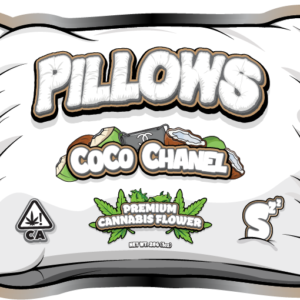 Pillows Coco Chanel 