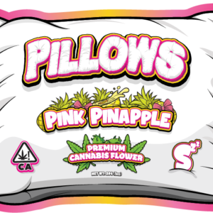 Pillows Pink Pineapple