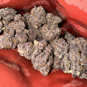 SWEETZ EXOTICS PURPLE PUSH POP