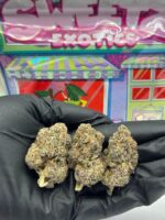 SWEETZ EXOTICS WHITE ZONUTZ