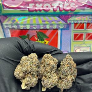 SWEETZ EXOTICS WHITE ZONUTZ