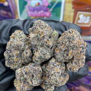 SWEETZ EXOTICS GUMDROPZ