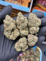 SWEETZ EXOTICS BIXCOTTI
