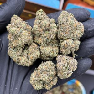 SWEETZ EXOTICS BIXCOTTI