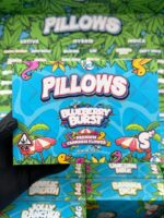 BUY BULK PILLOWS SUMMER EDITION