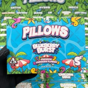 BUY BULK PILLOWS SUMMER EDITION